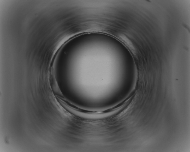 X0000097781340200803071341