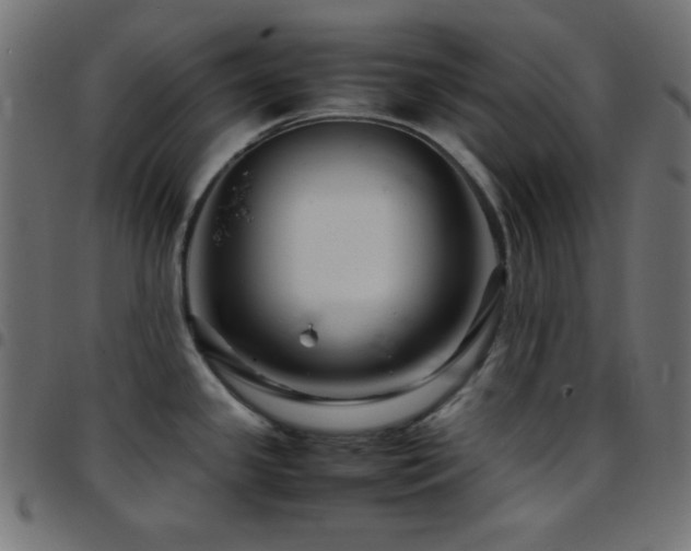 X0000097781341200803071341