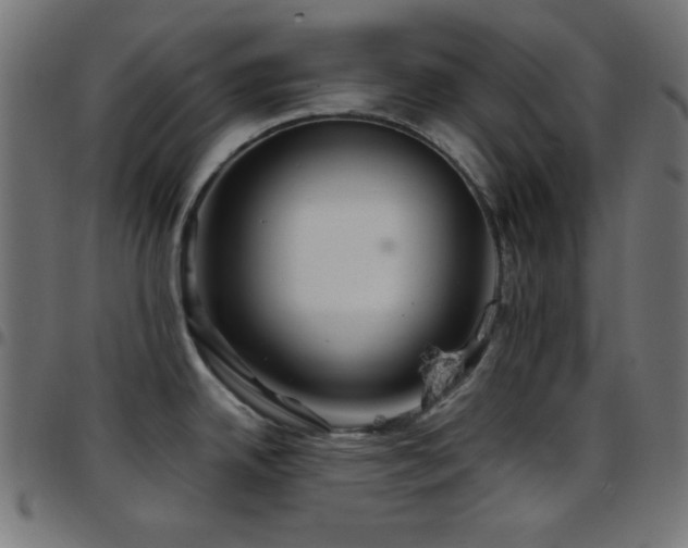 X0000097781342200803071341