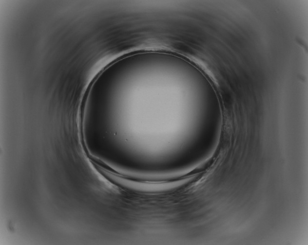 X0000097781343200803071341