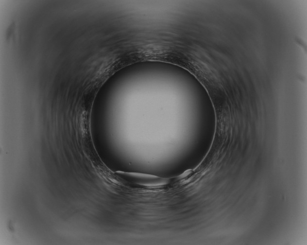 X0000097781346200803071340