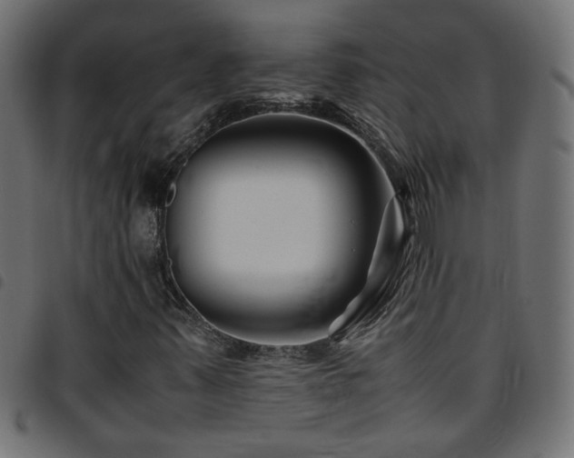 X0000097781347200803071340