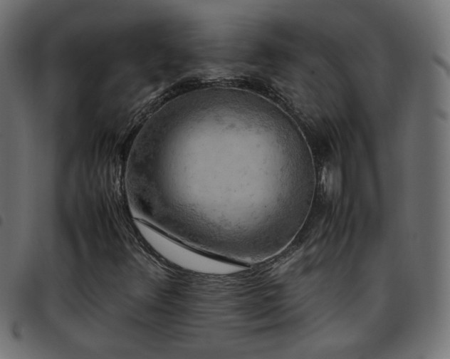 X0000097781348200803071340