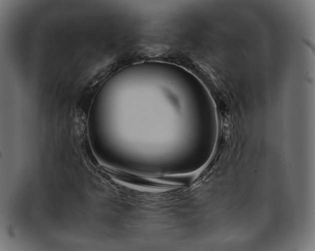 X0000097781349200803071340