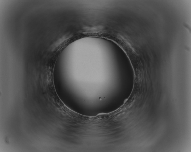 X0000097781350200803071340