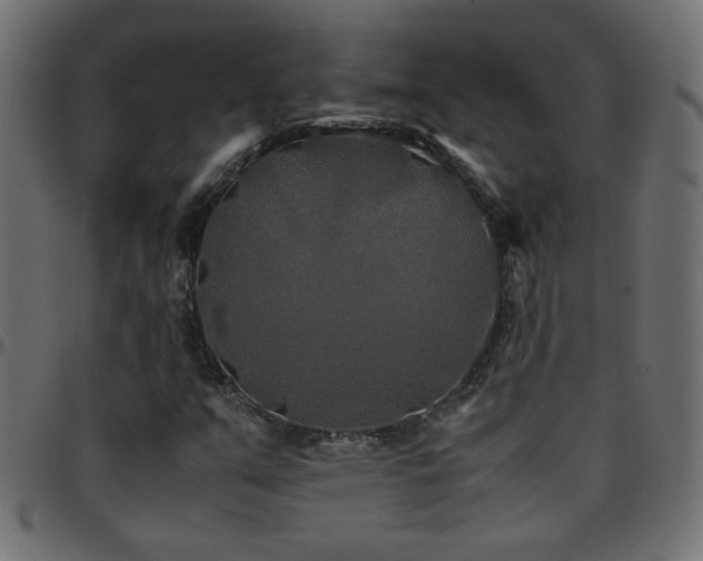 X0000097781351200803071340