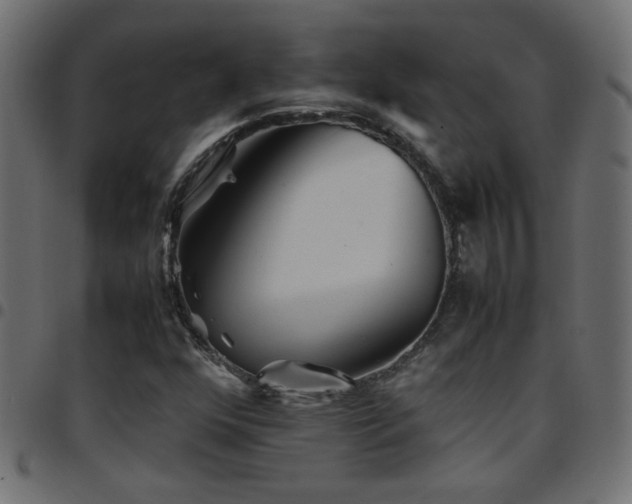 X0000097781352200803071340