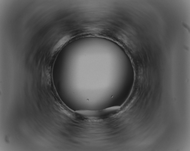 X0000097781354200803071340