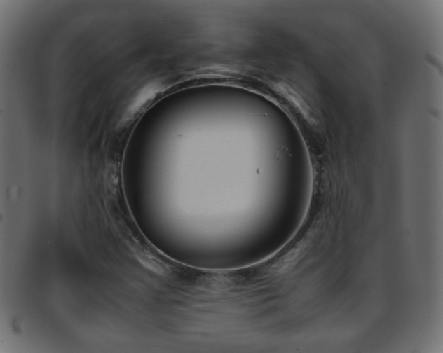 X0000097781355200803071340