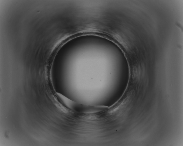 X0000097781356200803071340