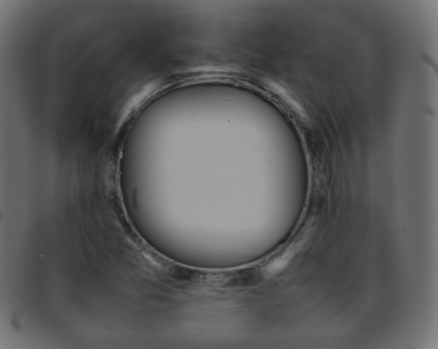 X0000097781357200803071340