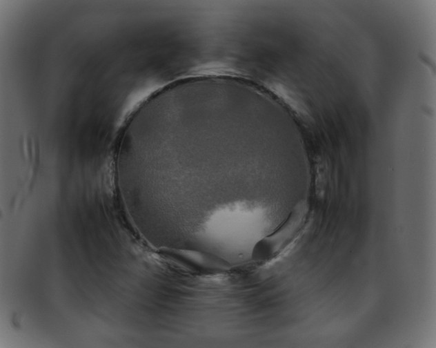 X0000097781358200803071340