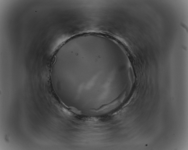 X0000097781359200803071340