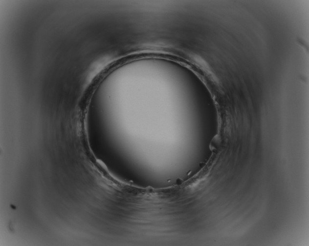 X0000097781360200803071340