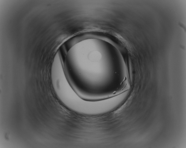 X0000097781361200803071340