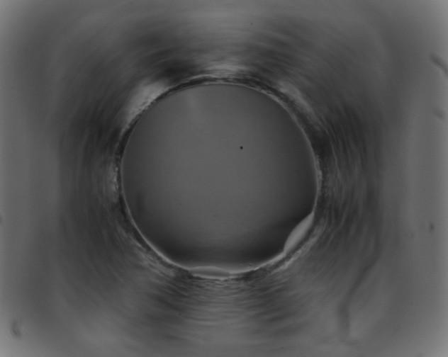 X0000097781362200803071340