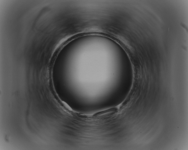 X0000097781364200803071340