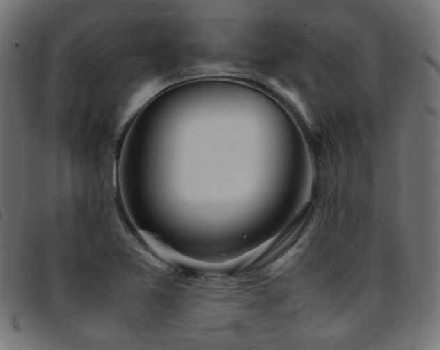 X0000097781365200803071340