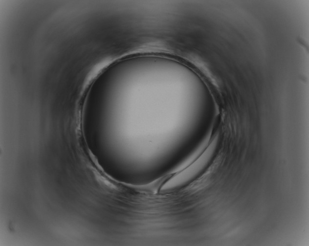 X0000097781366200803071340