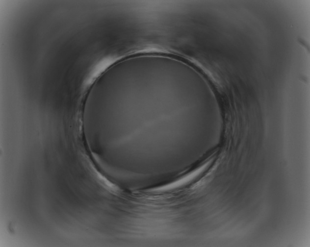 X0000097781367200803071340