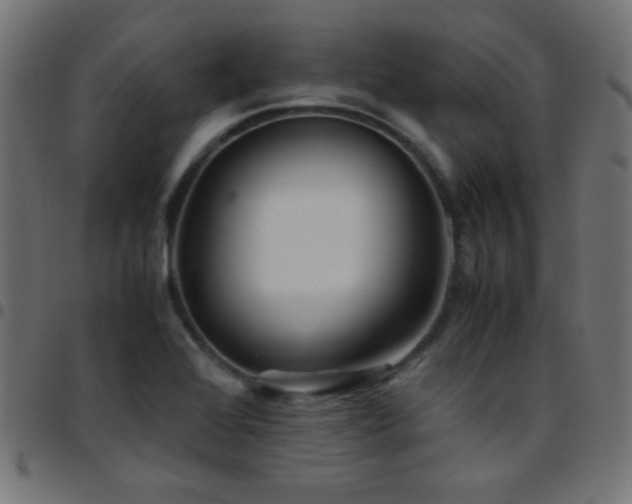 X0000097781368200803071340