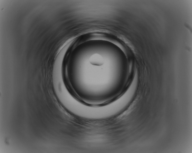 X0000097781369200803071340