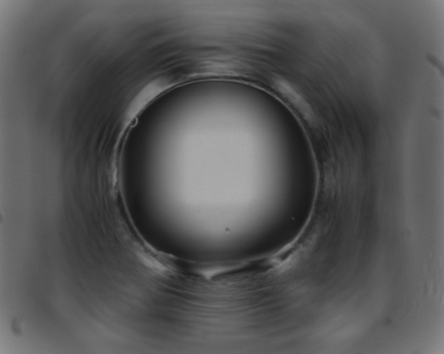 X0000097781370200803071340