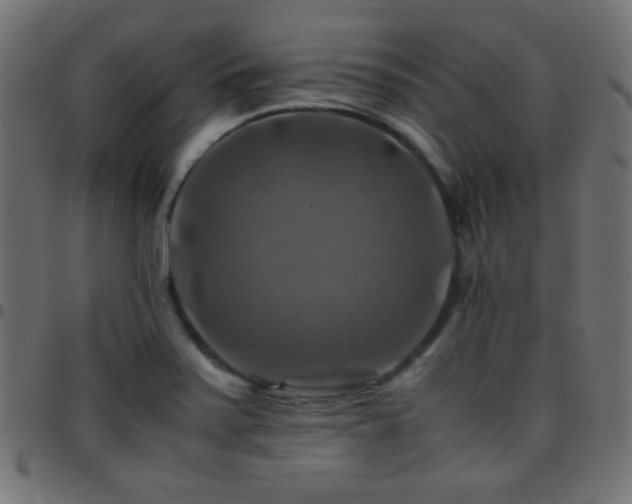 X0000097781371200803071340