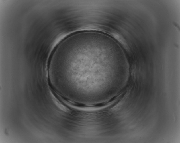 X0000097781372200803071340