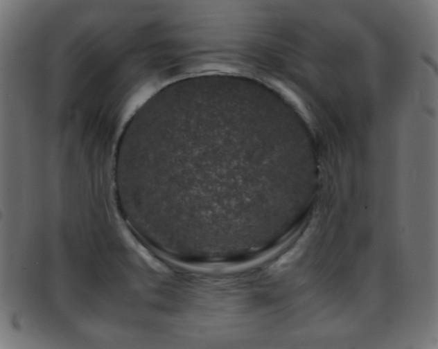 X0000097781373200803071340