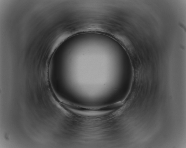 X0000097781374200803071340