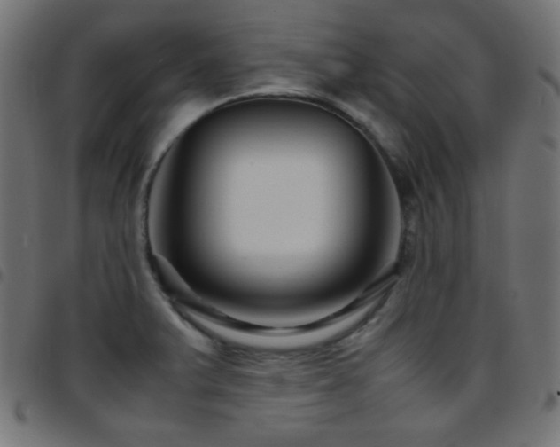 X0000097781375200803071340