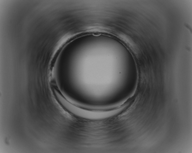 X0000097781376200803071340