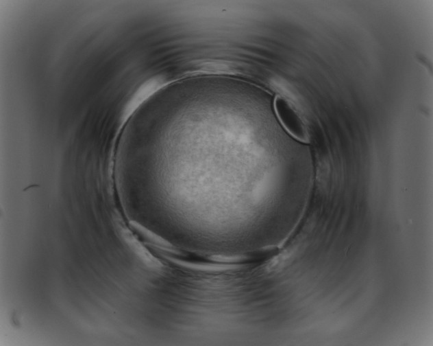 X0000097781378200803071340