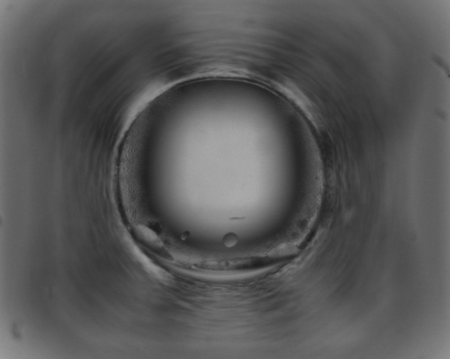 X0000097781379200803071340