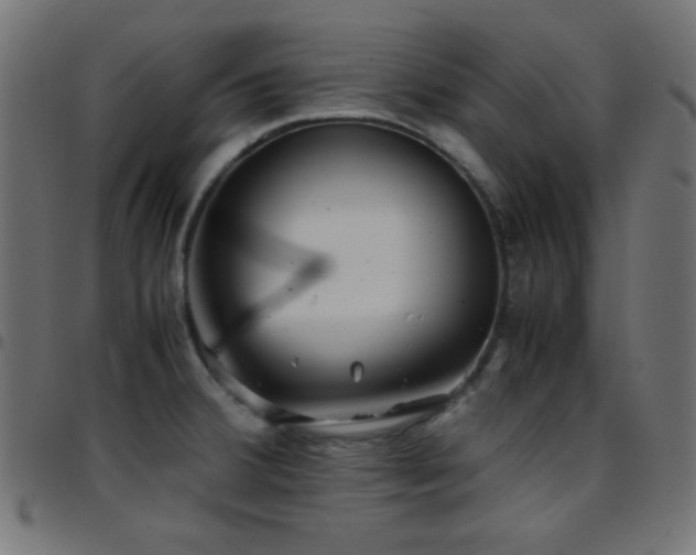 X0000097781380200803071340