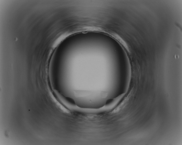 X0000097781381200803071340