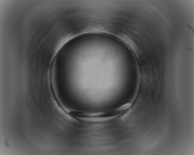 X0000097781382200803071340