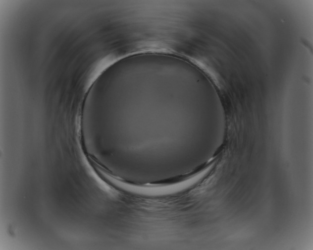 X0000097781383200803071340