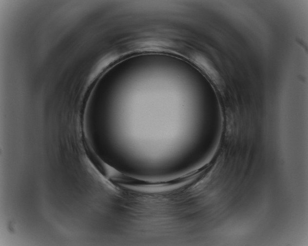 X0000097781384200803071340
