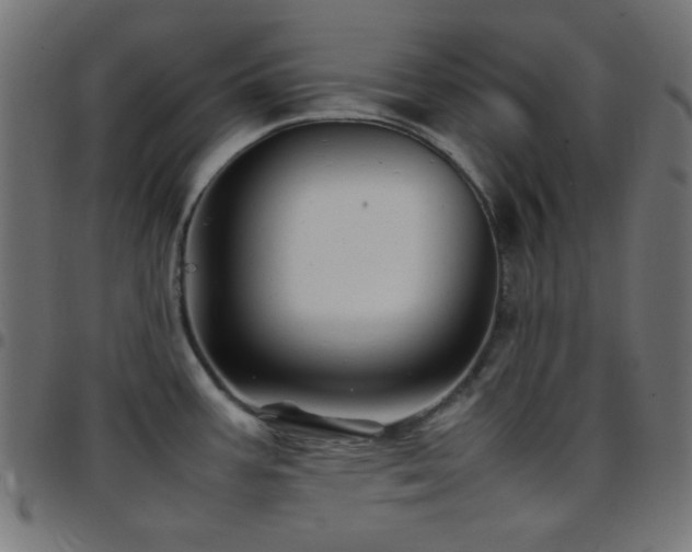 X0000097781387200803071340