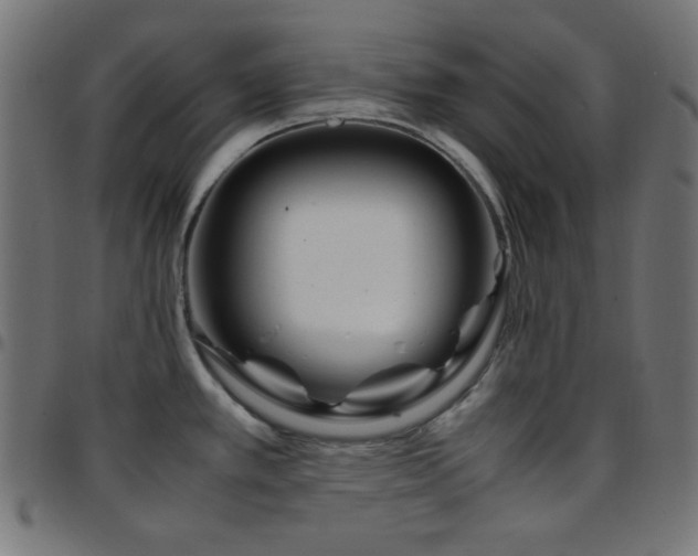 X0000097781389200803071340
