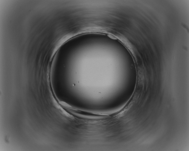 X0000097781390200803071340