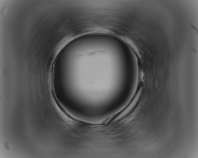 X0000097781391200803071340