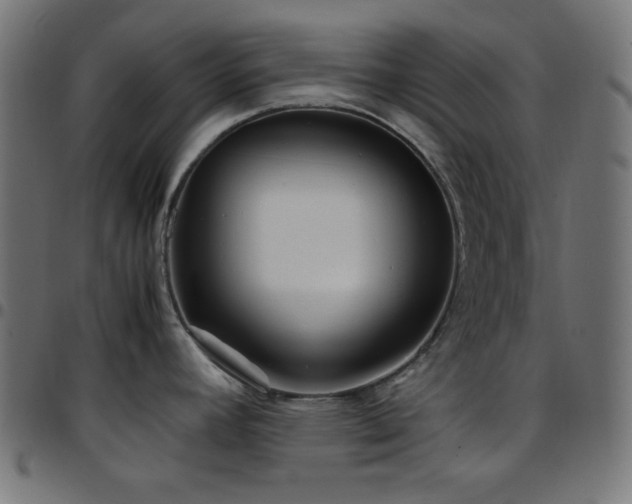 X0000097781392200803071340