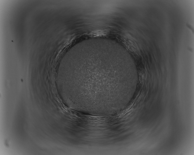 X0000097781393200803071339
