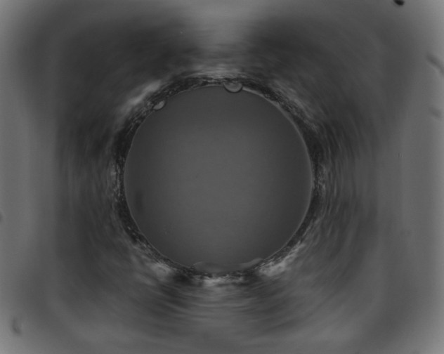 X0000097781398200803071339
