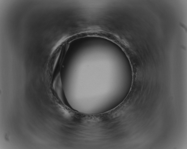 X0000097781400200803071339