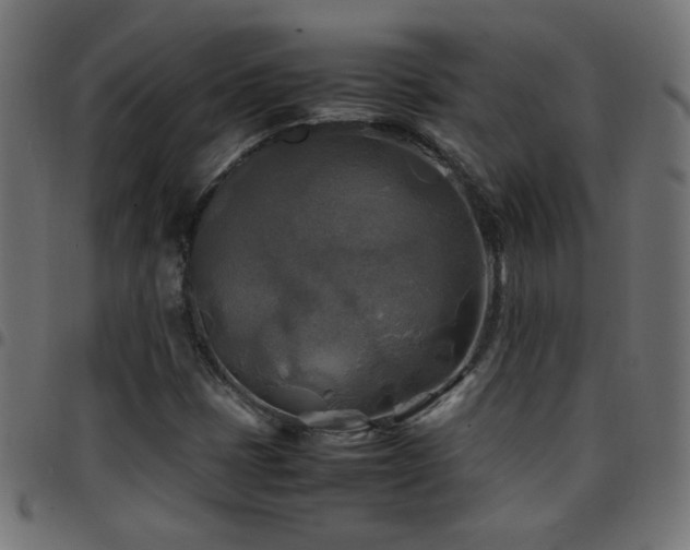 X0000097781401200803071339