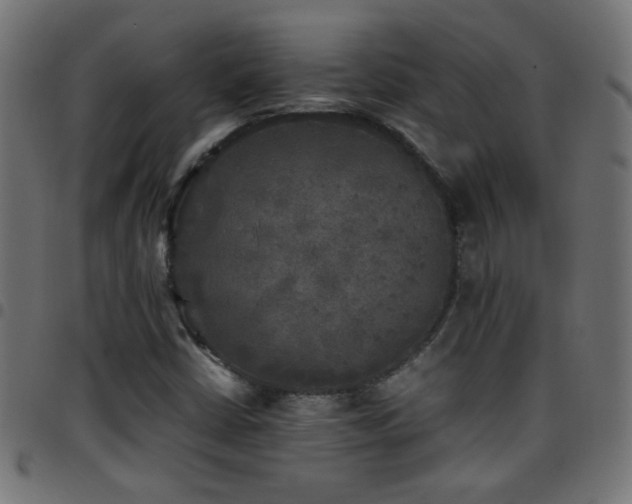 X0000097781402200803071339